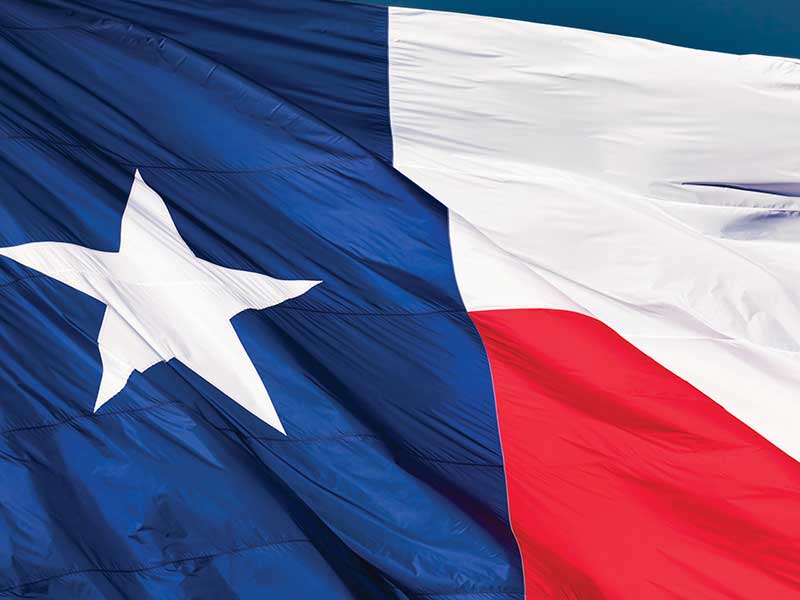 texas flag