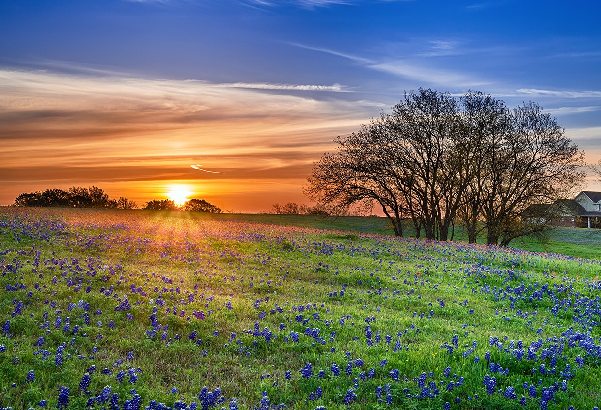 texas_land
